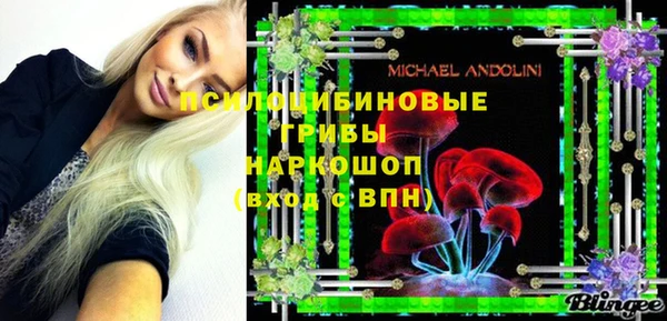 твердый Алзамай
