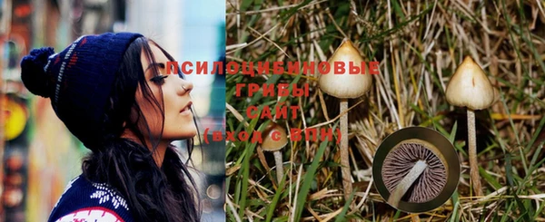 дмт Билибино