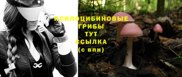 mix Алексеевка