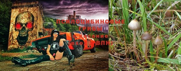 дживик Алексин
