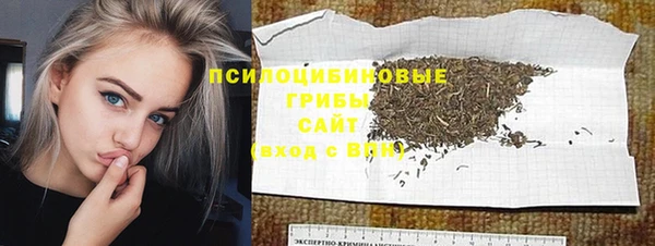дживик Алексин