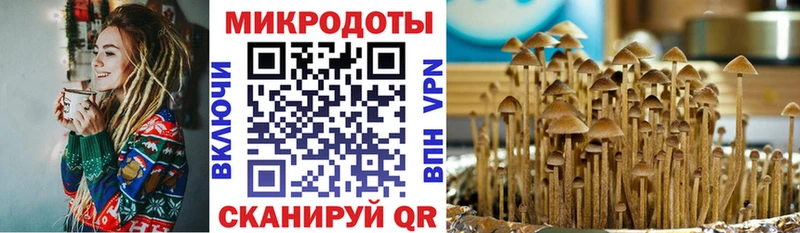 Псилоцибиновые грибы MAGIC MUSHROOMS Лобня